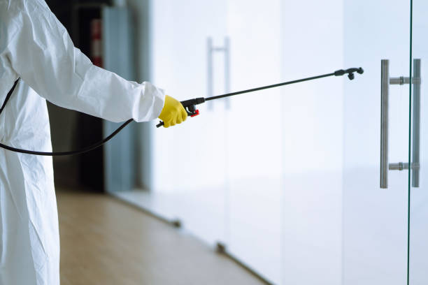 Sewage cleanup and water damage restoration in Trowbridge Park, MI